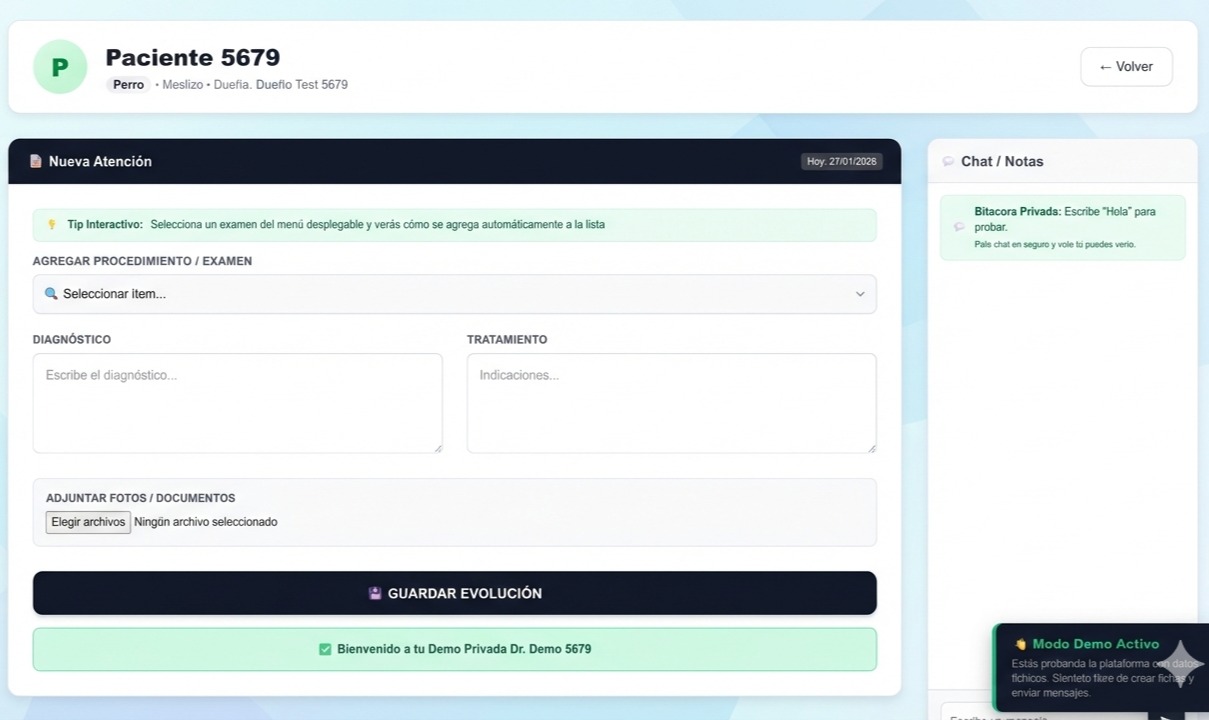 Dashboard Portal Vet
